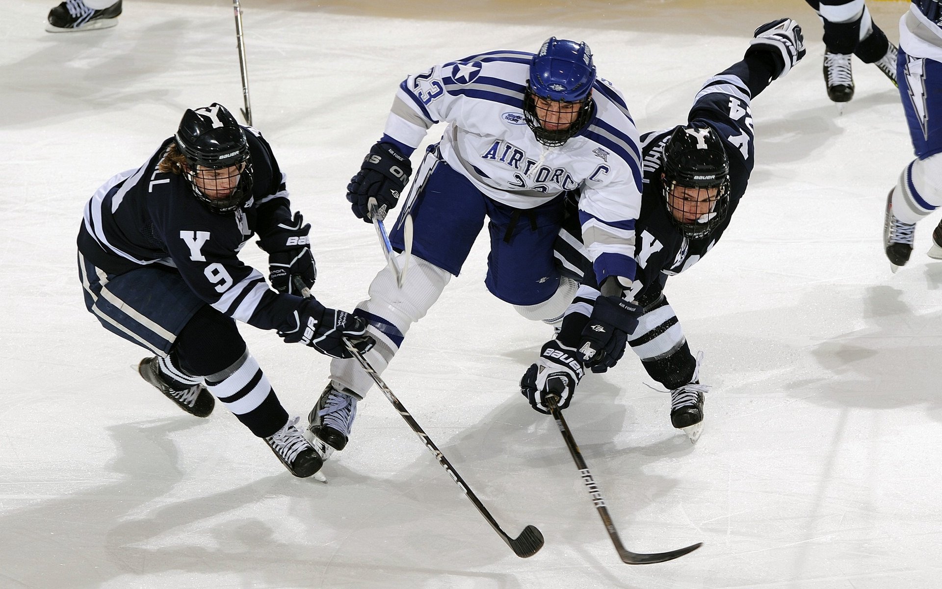 青训“互联网+”平台创新赋能，行业数字化有望开启新篇章，青年互联网+大赛